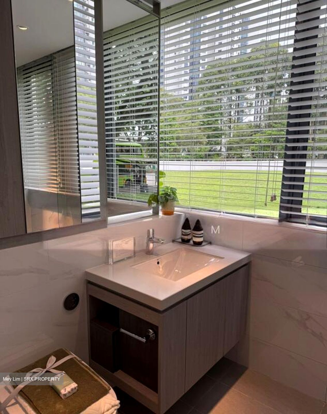 The LakeGarden Residences (D22), Condominium #502616891